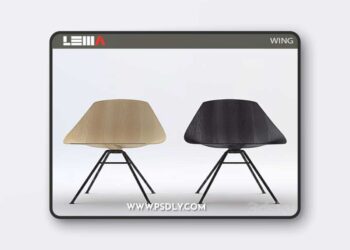 LEMA WING 3D Model