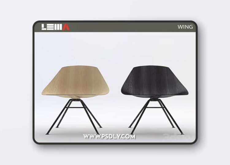LEMA WING 3D Model