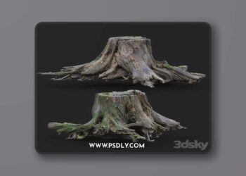 Large tree stump 3D Model