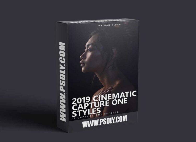 Nathan Elson - Cinematic Capture One Styles