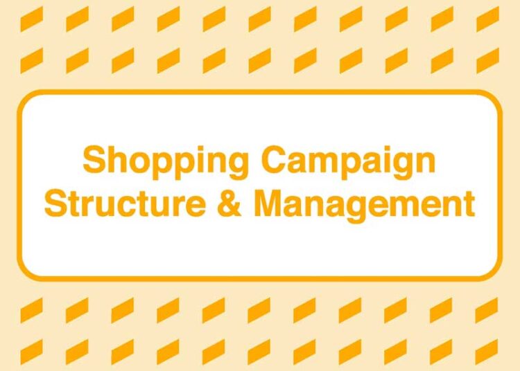 Take Some Risk – Shopping Campaign Structure and Management