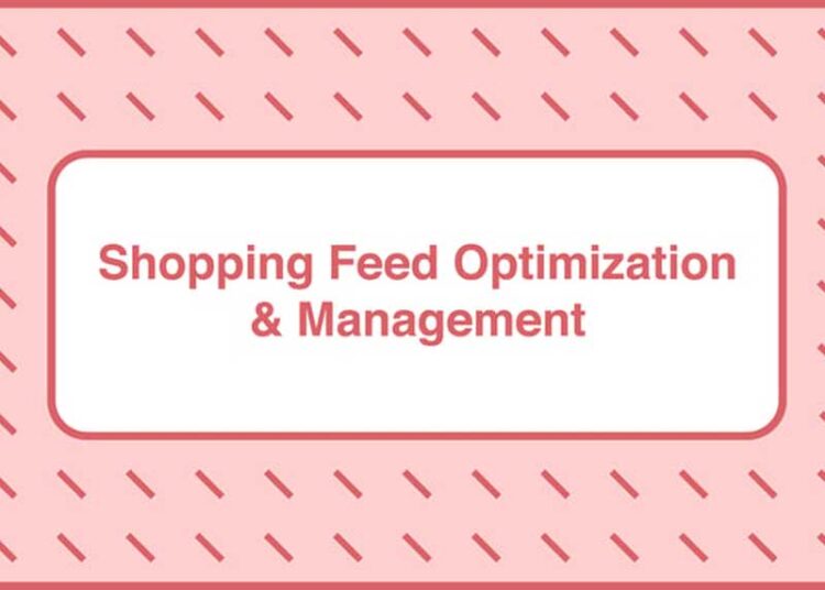 Take Some Risk – Shopping Feed Optimization and Management