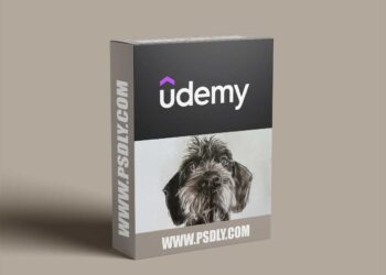 Udemy - Enhancing child's creativity and imagination by drawing