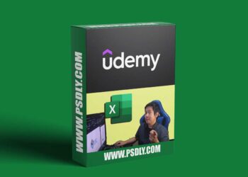 Udemy - Your Excel Essentials