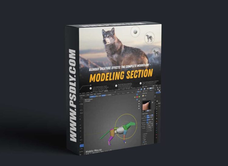 VFX Grace – Blender Creature Effects The Complete WorkFlow Modeling
