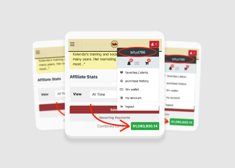 Affiliate Millions – Learn Affiliate Marketing from an Affiliate Millionaire Skoo