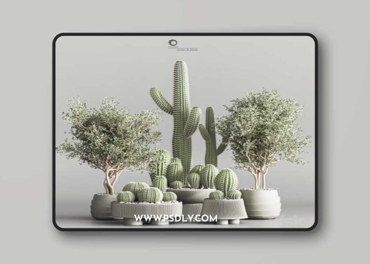 Cactus & plant vol 01 3D Model