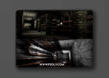 Cellar Materials 3D Model