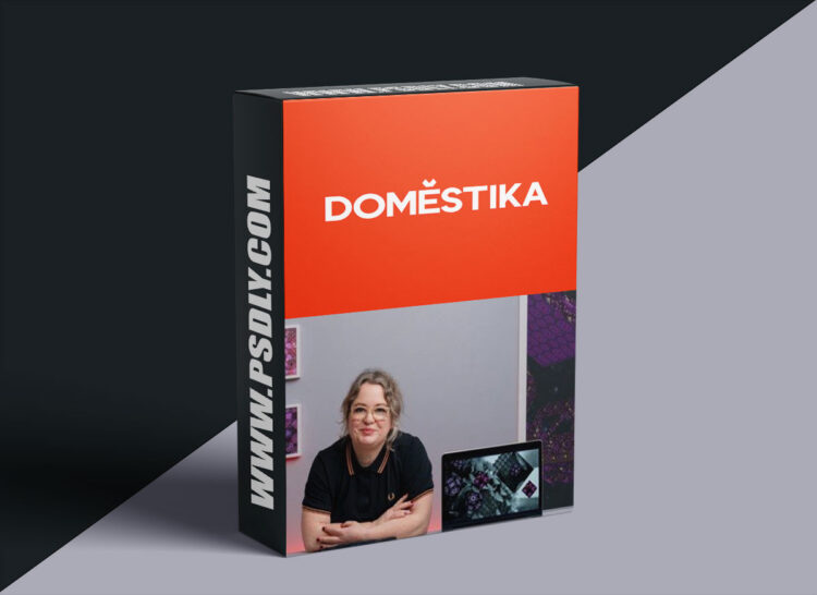 Domestika - Powerpoint Pro: How to Prepare a Persuasive Presentation