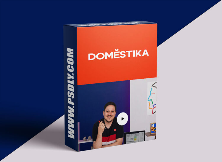 Domestika - Visual identity Design for Businesses
