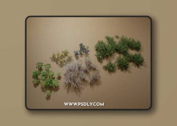 Foliage VOL.10 – Yard Plants