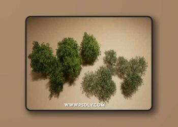 Foliage VOL.11 – Bushes