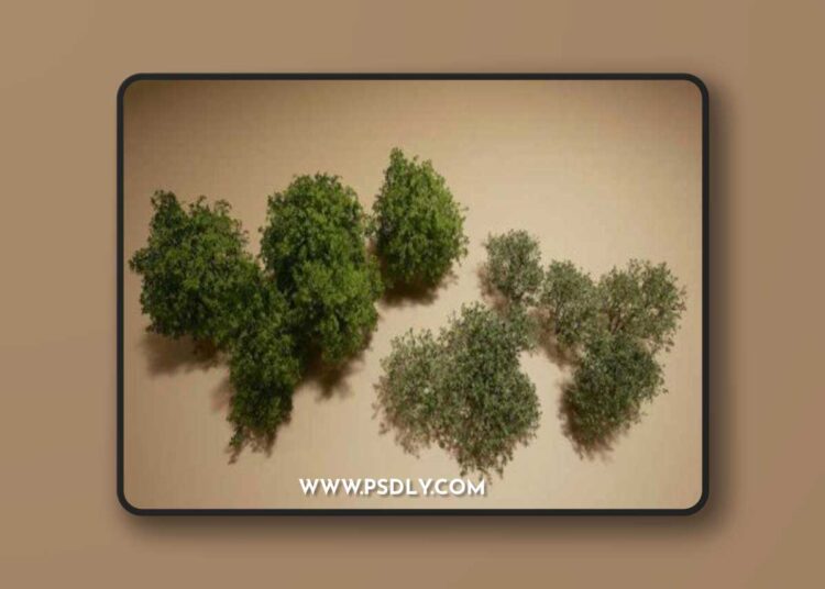 Foliage VOL.11 – Bushes