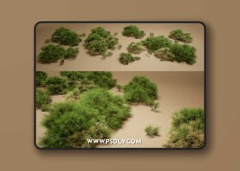 Foliage VOL.6 – Broom Bushes 3D Model