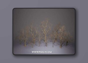 Foliage VOL.8 – Dead Trees
