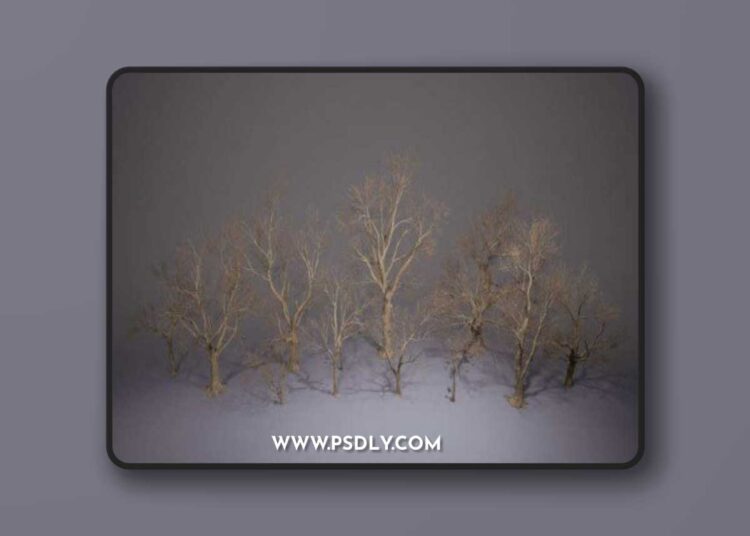 Foliage VOL.8 – Dead Trees