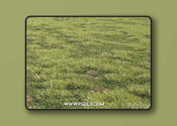 Grass-kit-2-3D-Model