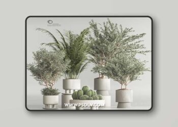 Indoor Plant Set 54(Corona)