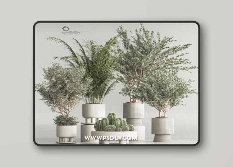 Indoor Plant Set 54(Corona)