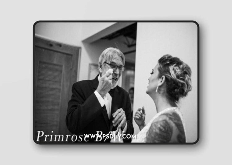 LIGHTROOM DESKTOP Primrose Preset Pack (6 Presets)