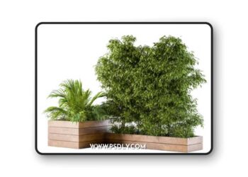 Outdoor Plants L Type Box 3D Model