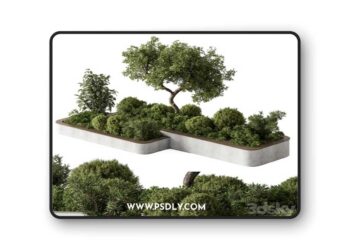 Plant Box - Outdoor Plants 588