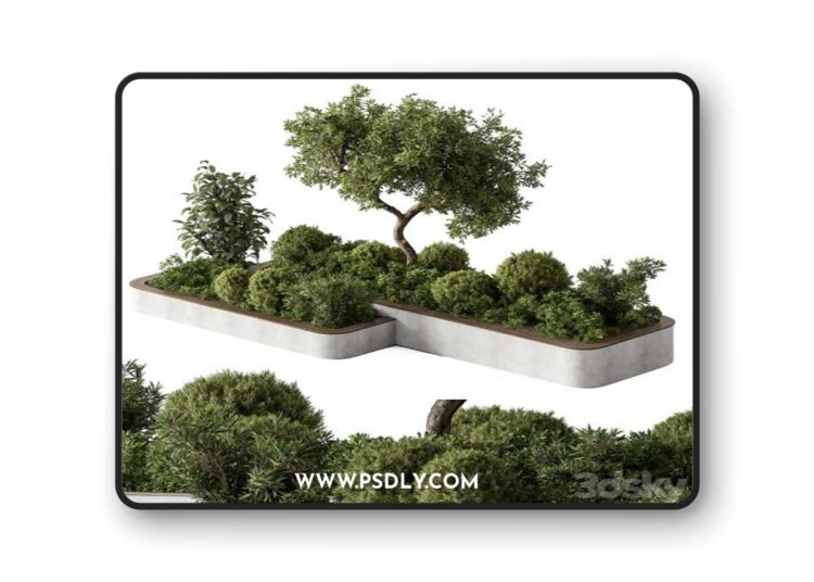 Plant Box - Outdoor Plants 588
