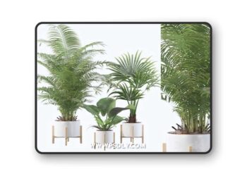 Plants collection 086 3D Model