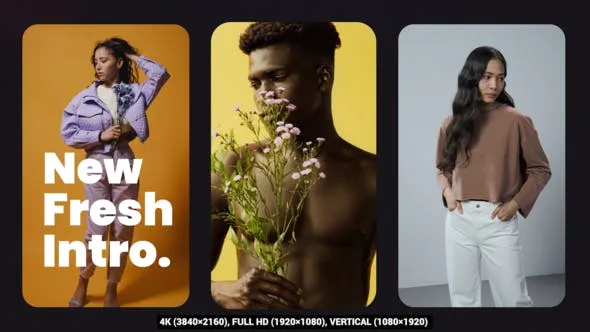 Videohive Splitscreen Clean Intro 53903824
