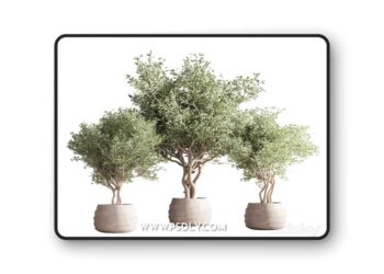 indoor plant stand 39 3D Model