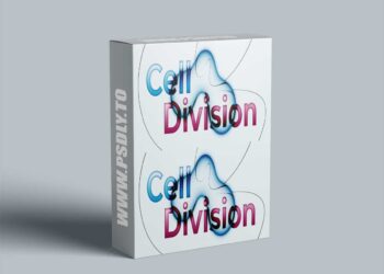 Aescripts Cell Division V1.3