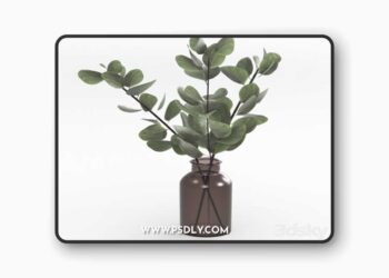 Bouquet of eucalyptus twigs 3D Model