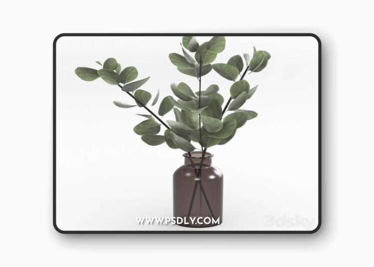 Bouquet of eucalyptus twigs 3D Model
