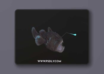 CgTrader - Angler Fish monkfish 3D Model