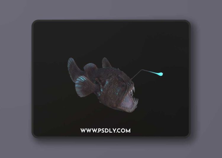 CgTrader - Angler Fish monkfish 3D Model