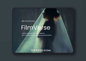 Colorist Foundry - Filmverse