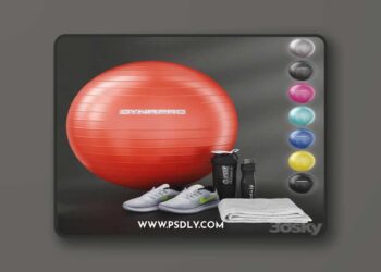 Fitness set for gym decorating. Sport equipment. Set