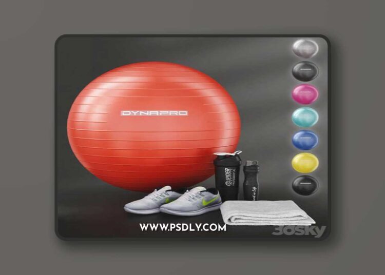 Fitness set for gym decorating. Sport equipment. Set