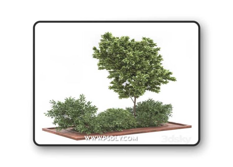 Garden set bush and Tree Set01