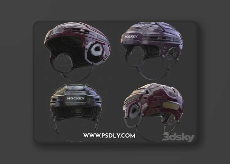 HOCKEY Helmet 3D Model