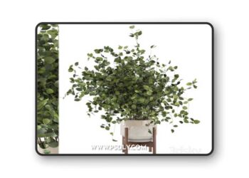 Indoor Plants in rusty Concrete Pot - Set 280