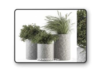 Outdoor Plant Set 292 - Plant Set in Concrete Pot