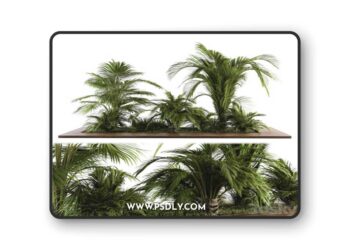 Outdoor Plants tree Tropical Garden - Set 143