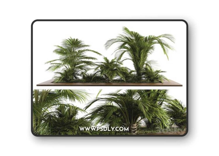 Outdoor Plants tree Tropical Garden - Set 143