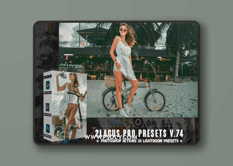 PRO Presets - V 74 - Photoshop & Lightroom X4C5F2A