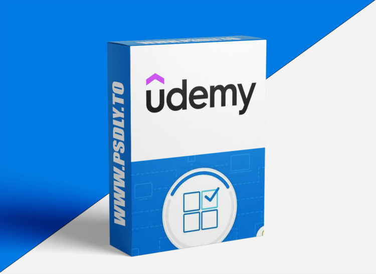 Windows 11 Essentials - Beginner