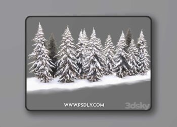 Winter norway spruce 3D Model