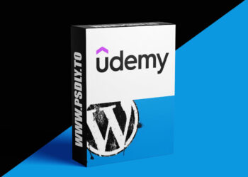 Become a freelance web developer using Wordpress