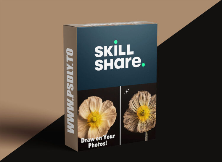 Digital Brushwork for Photos & Beyond