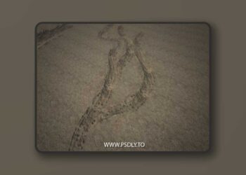 Dirt Track & General Dirt Decals